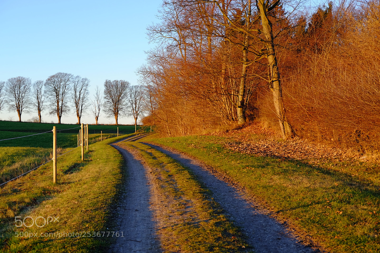 Fujifilm X-T10 sample photo. Lyngebækgaard photography