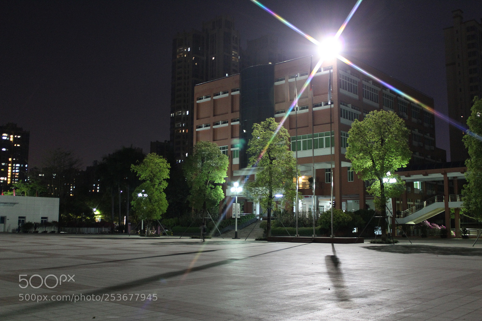 Canon EOS 1300D (EOS Rebel T6 / EOS Kiss X80) sample photo. Untitled photography