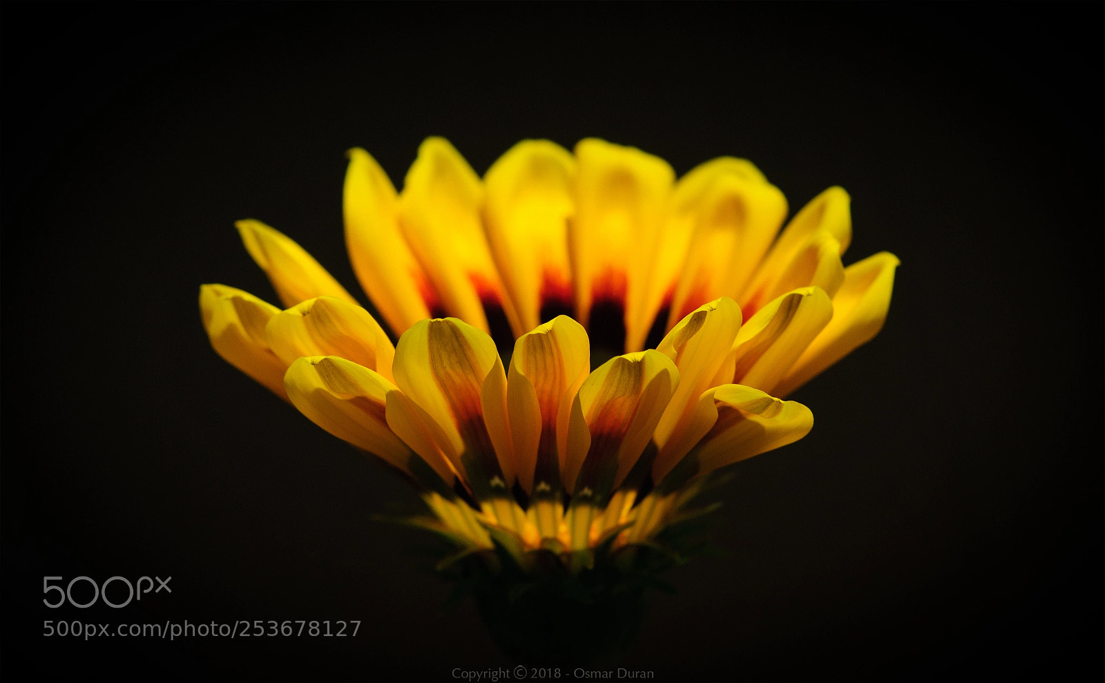 Nikon D200 sample photo. Sunlight photography