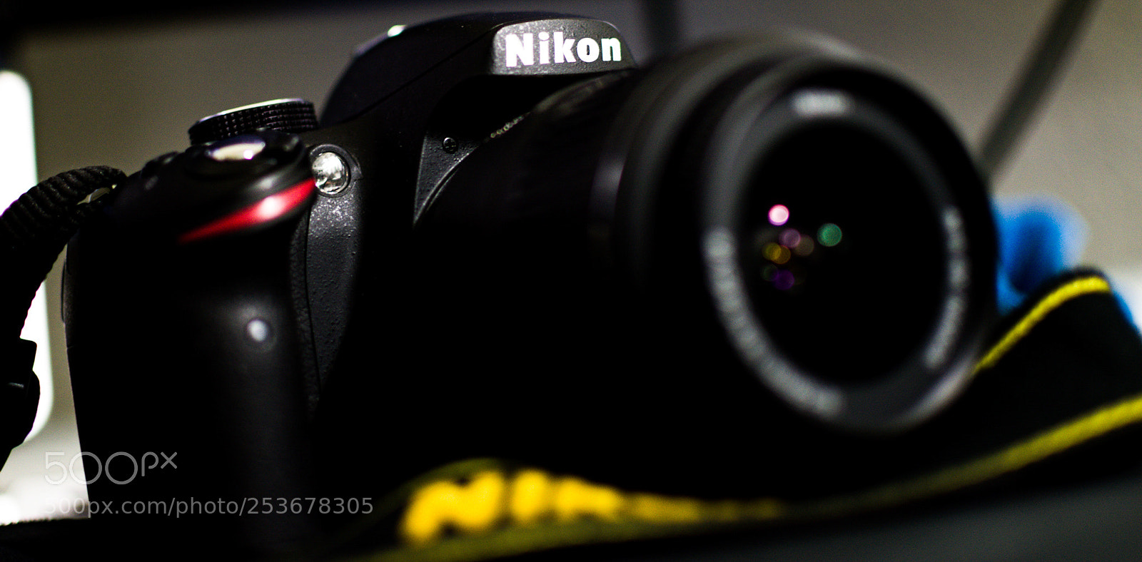 Nikon D5600 sample photo. Untitled photography