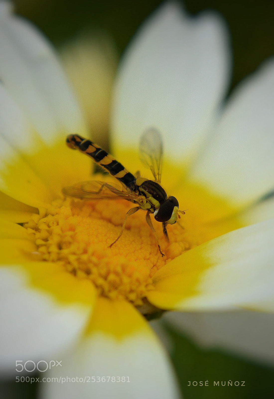 Nikon D3300 sample photo. Untitled photography