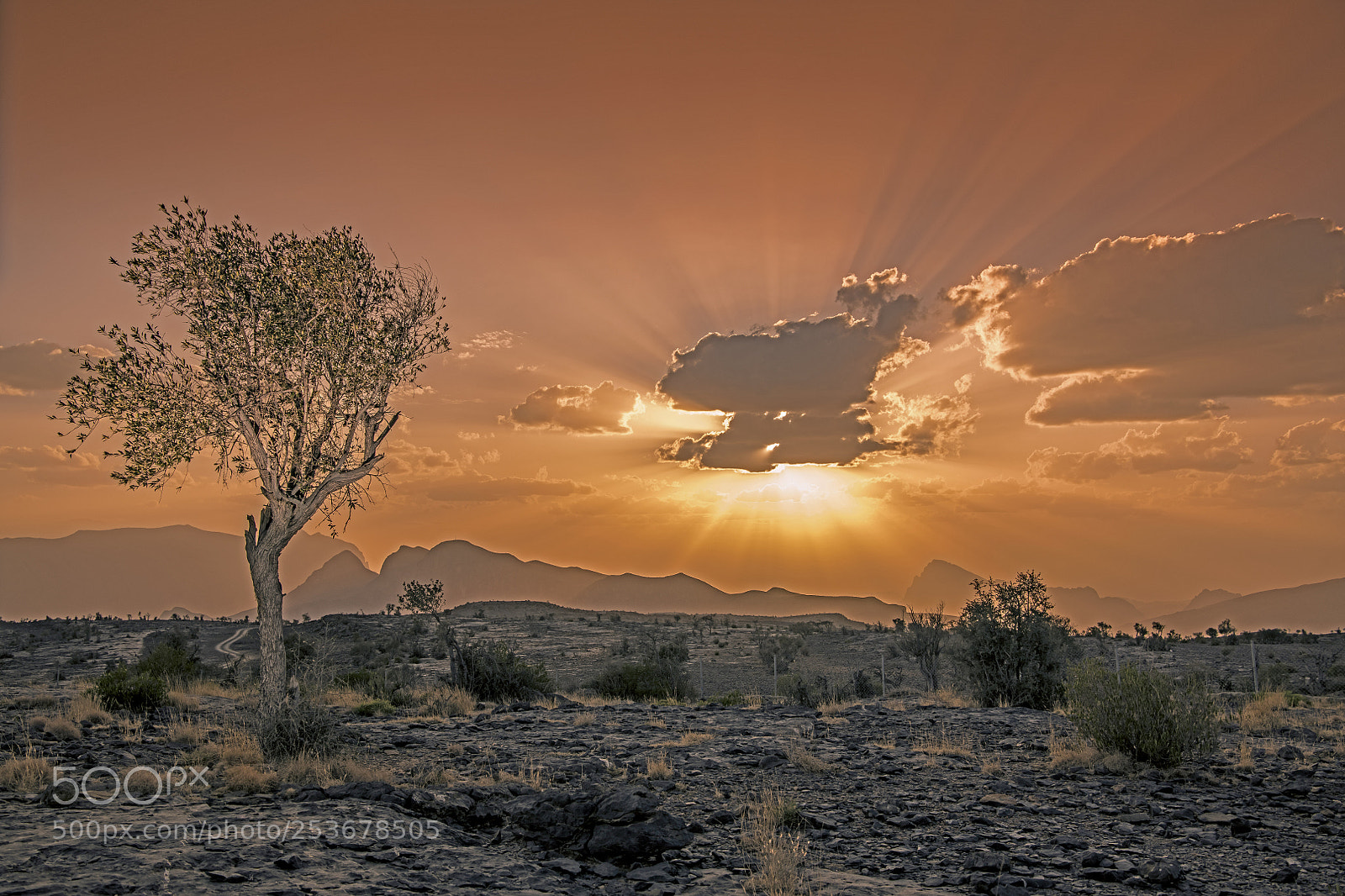 Nikon D850 sample photo. Jabal shames sunset photography