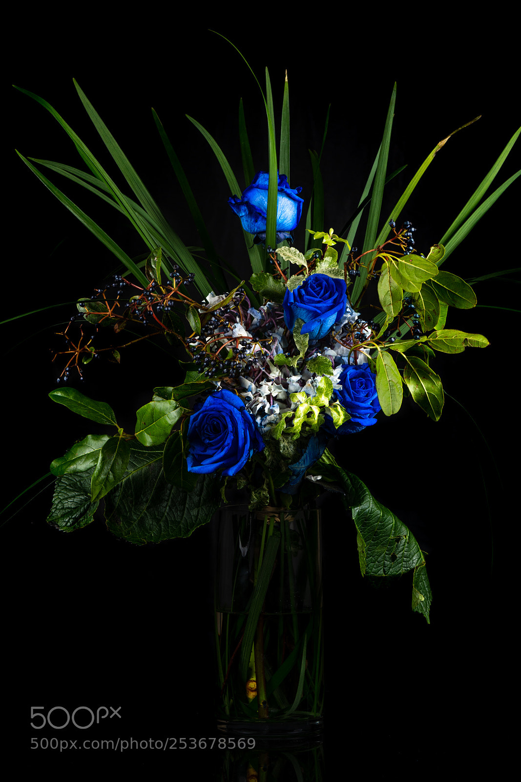 Nikon D850 sample photo. Blue roses photography