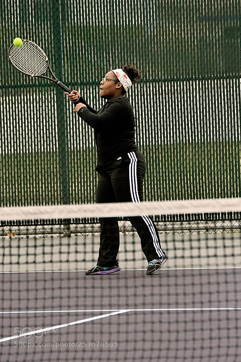 Nikon D500 sample photo. 4-11_1299.jpg photography