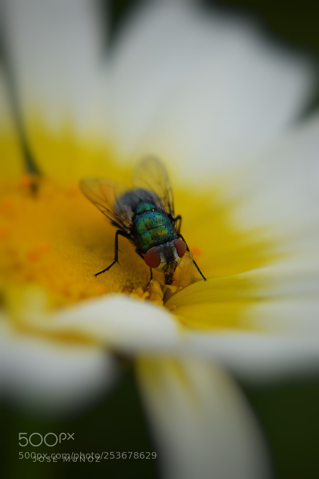 Nikon D3300 sample photo. Untitled photography