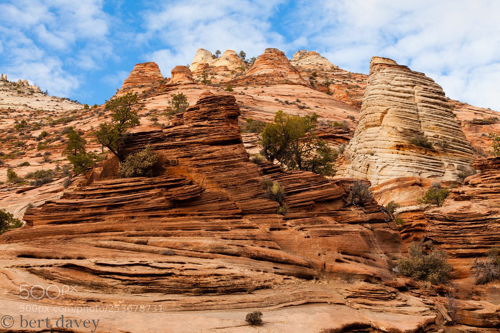 Canon EOS 5D Mark II sample photo. Img photography