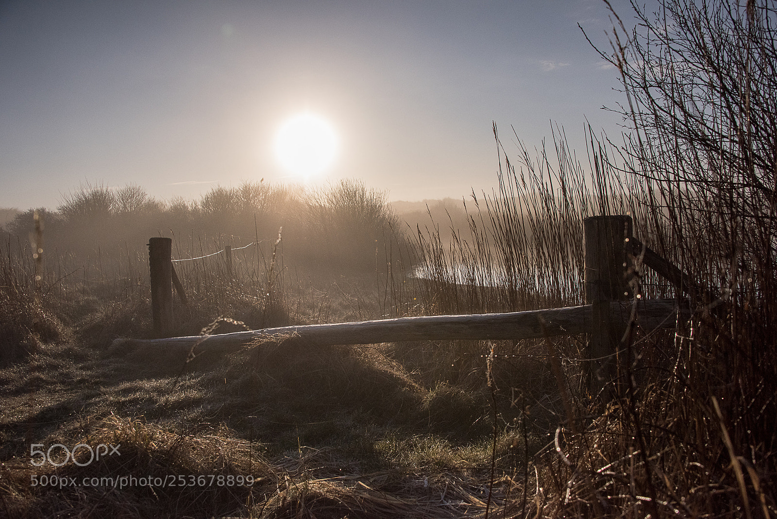 Nikon D810 sample photo. Misty morning sunrise photography