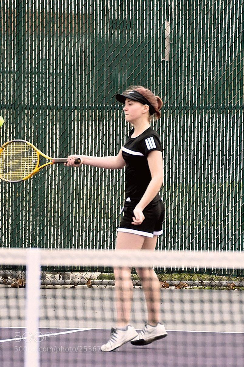 Nikon D500 sample photo. 4-11_0198.jpg photography
