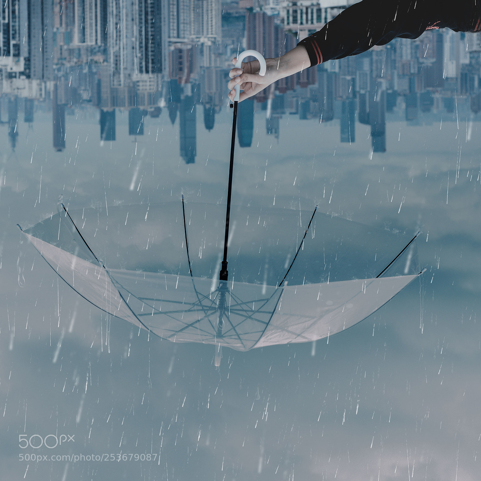 Nikon D610 sample photo. The rain in dream photography