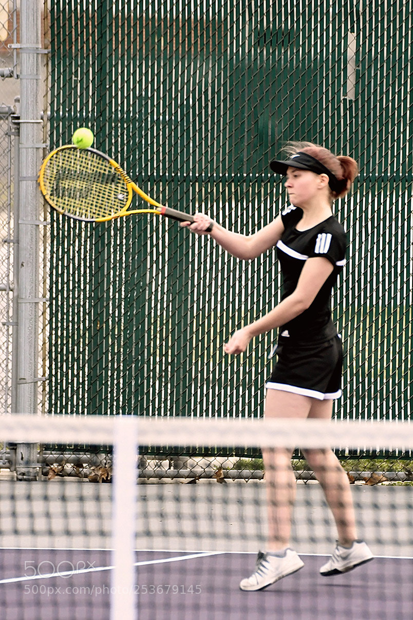 Nikon D500 sample photo. 4-11_0199.jpg photography