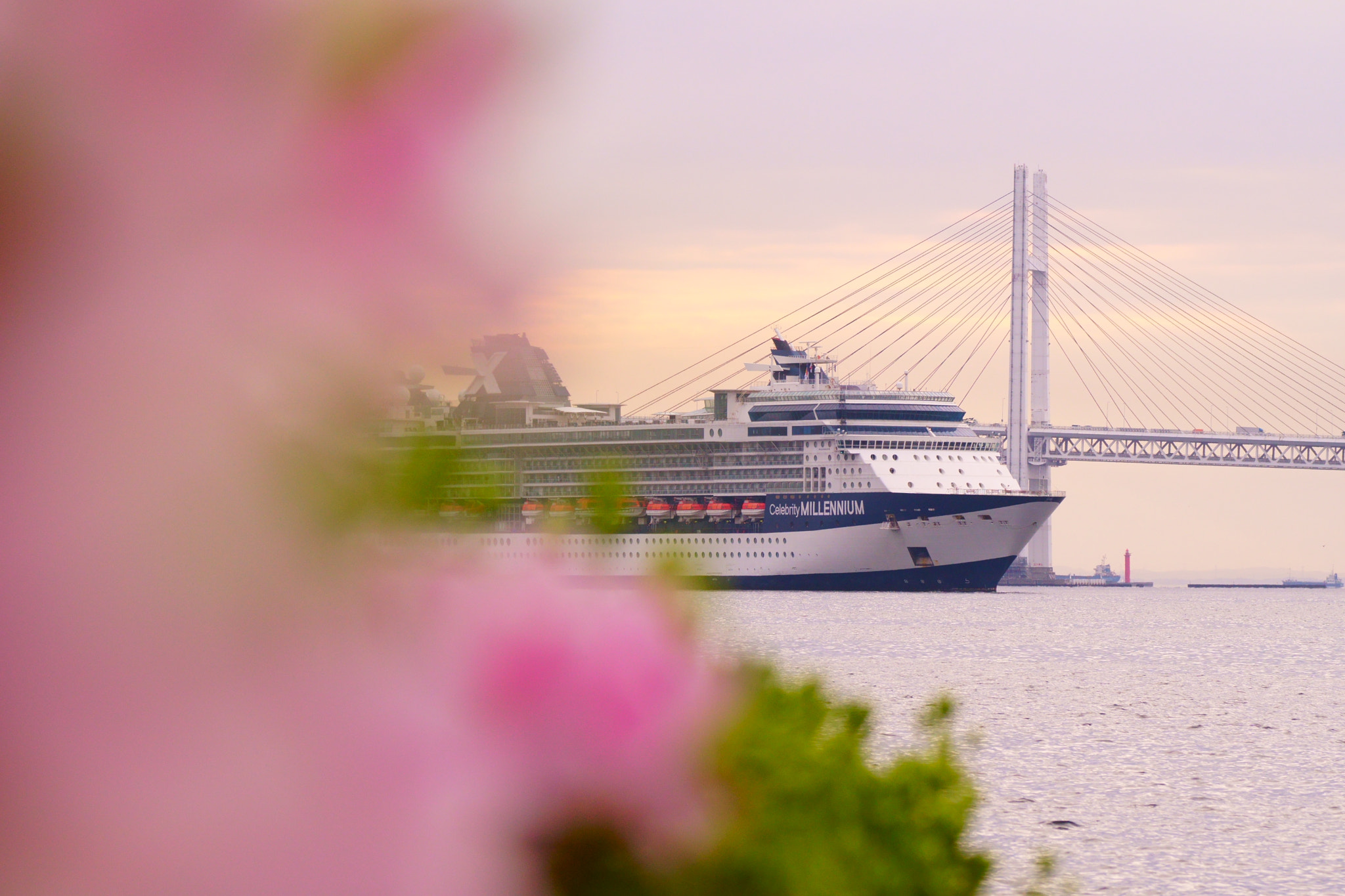 Sony FE 70-300mm F4.5-5.6 G OSS sample photo. Arrival in port |ω・`） photography