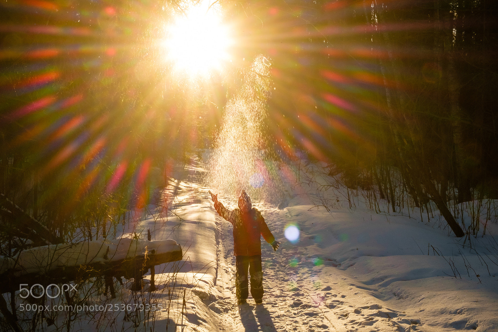 Fujifilm X-T1 sample photo. Snow, sun, and little photography