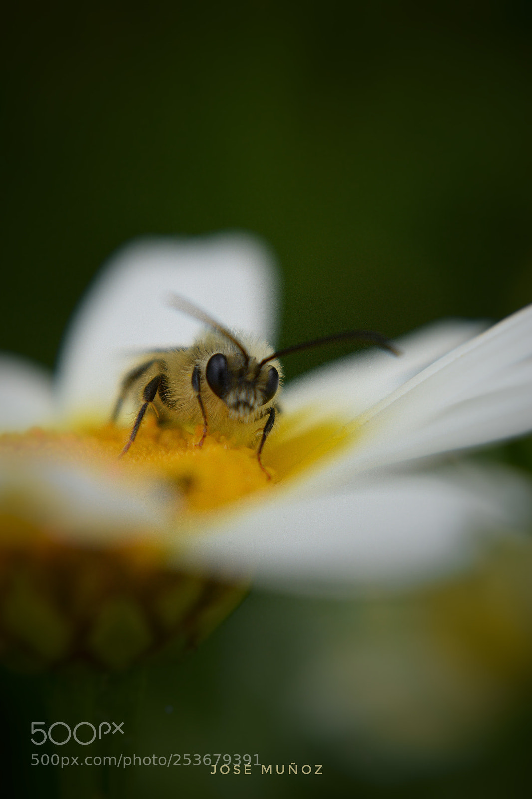 Nikon D3300 sample photo. Untitled photography