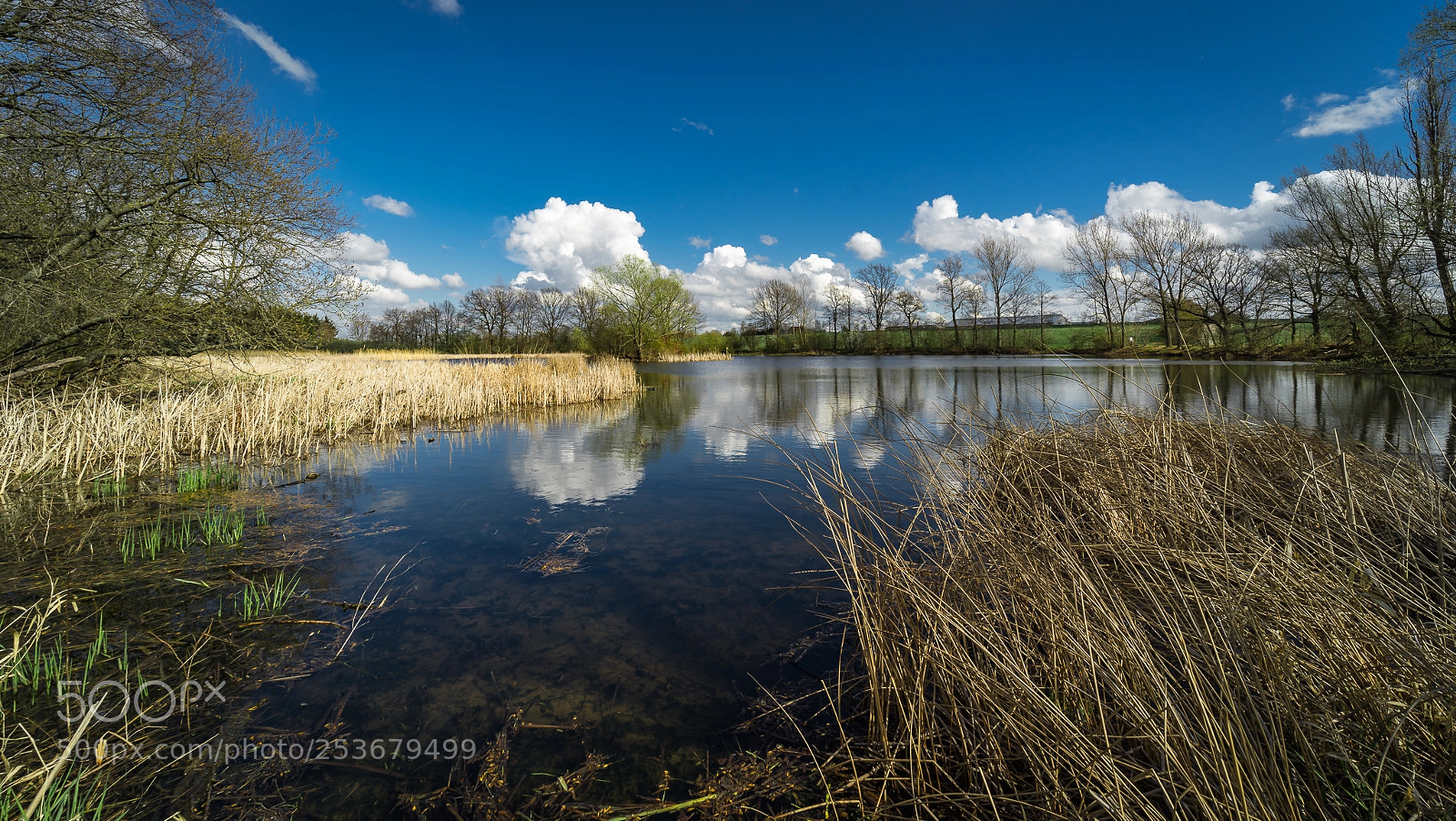 Sony a7 II sample photo. Dorfteich photography
