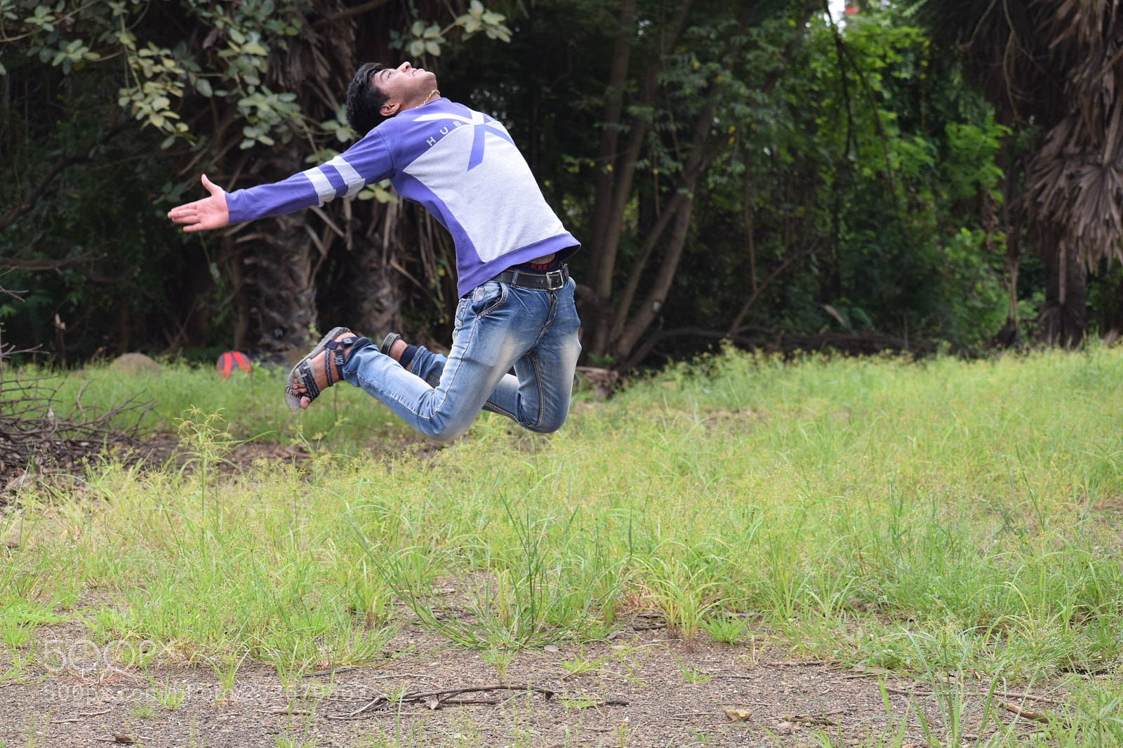 Nikon D5300 sample photo. Fly high photography