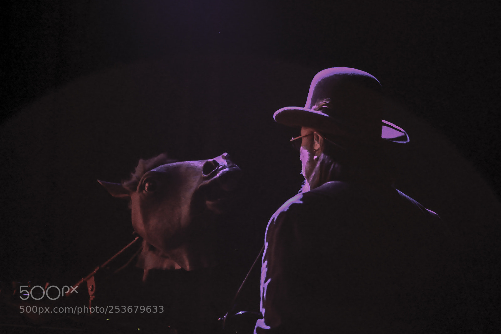 Canon EOS 60D sample photo. Les claypool, primus photography