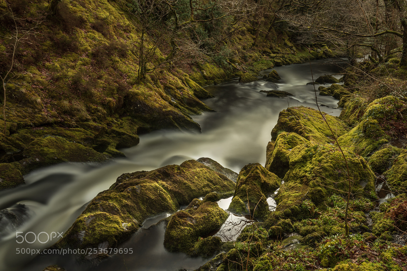 Canon EOS 5D Mark IV sample photo. River clywedog le photography