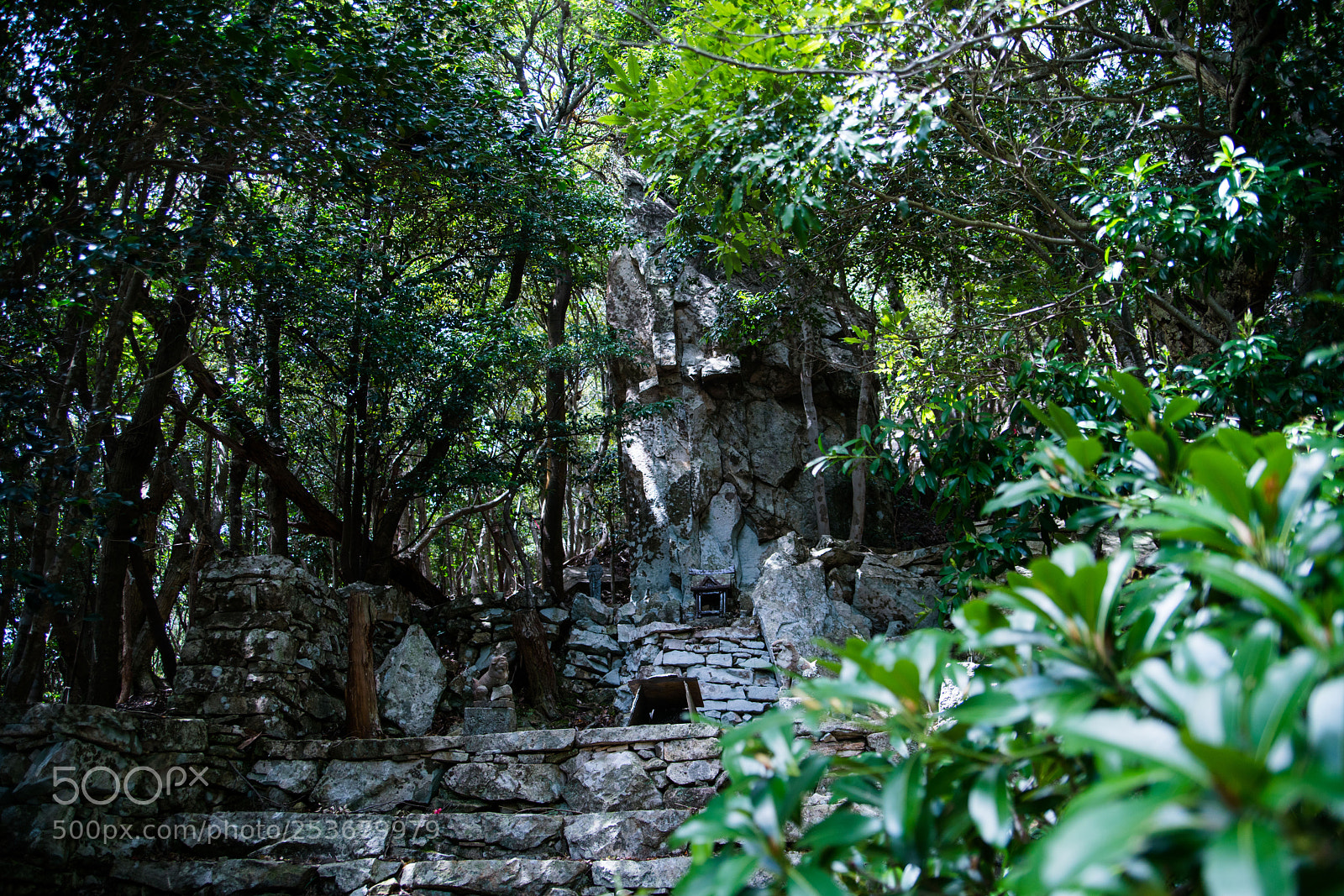 Sony a7R II sample photo. Tsushima photography