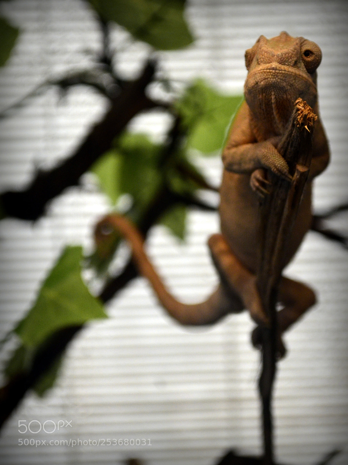 Nikon D5100 sample photo. Dsc photography