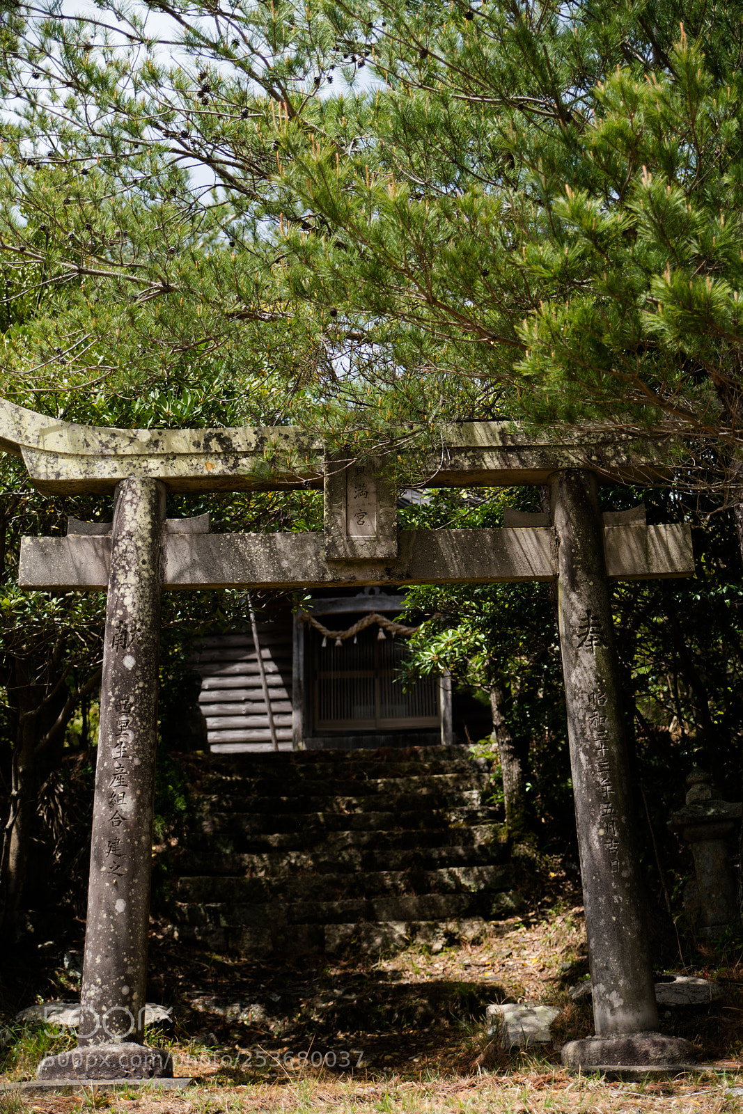 Sony a7R II sample photo. Tsushima photography