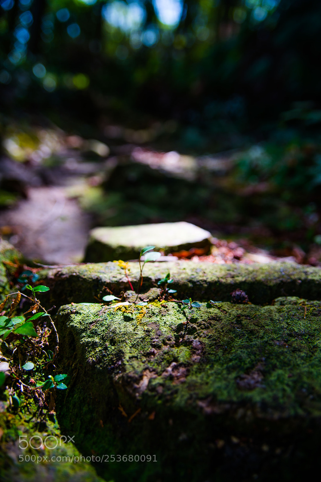Sony a7R II sample photo. Tsushima photography