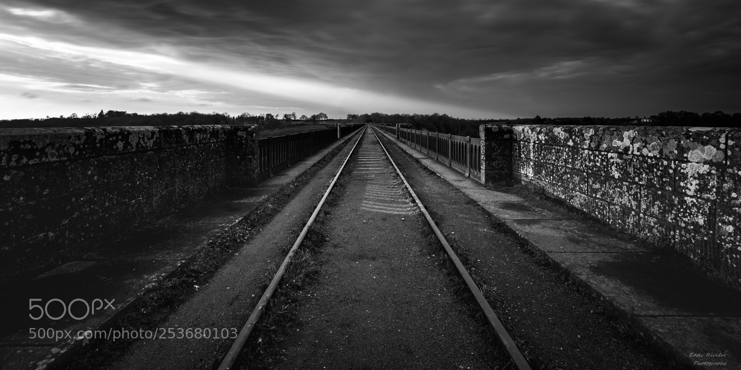 Nikon D810 sample photo. The viaduct photography