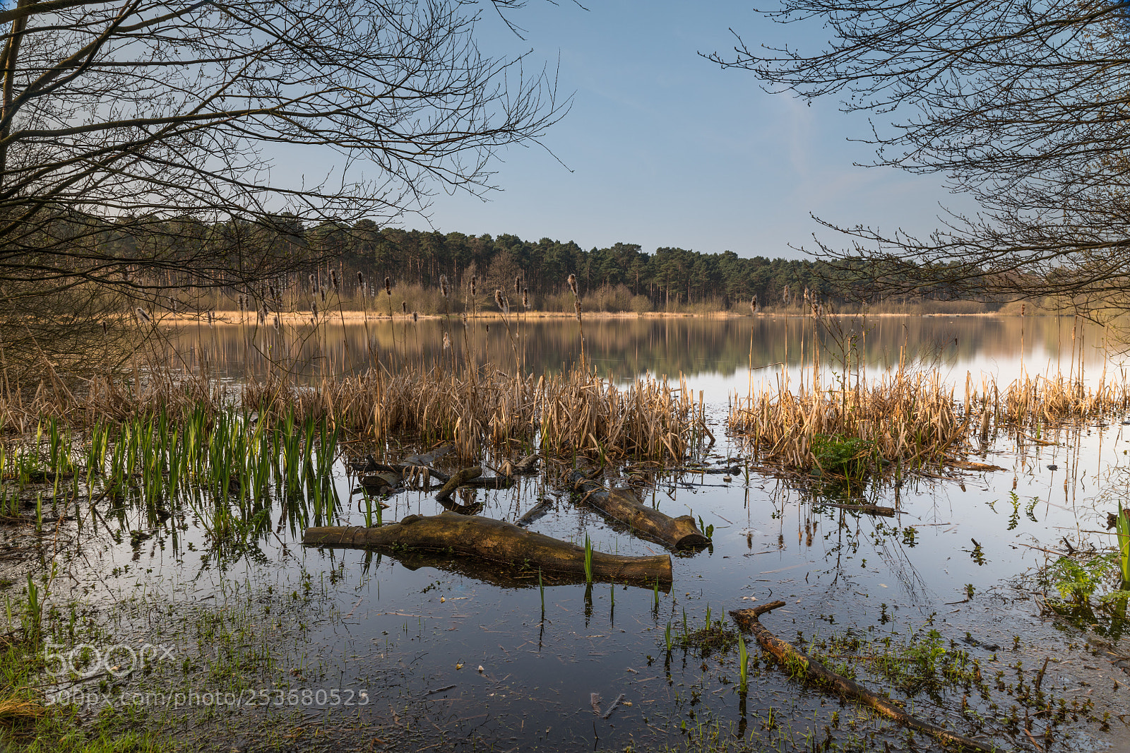 Nikon D850 sample photo. Lakeside mirage photography