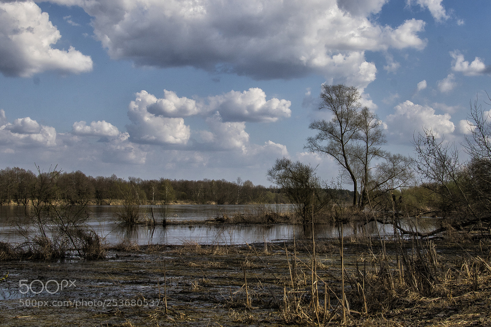 Canon EOS 760D (EOS Rebel T6s / EOS 8000D) sample photo. Weekend on the water photography
