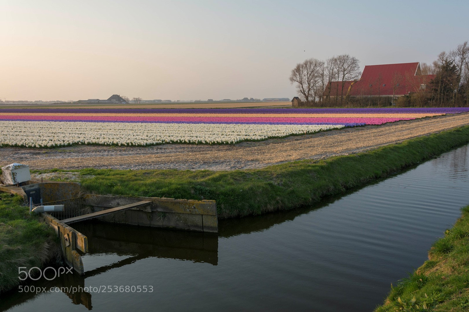 Nikon D7100 sample photo. Colourseason has started photography