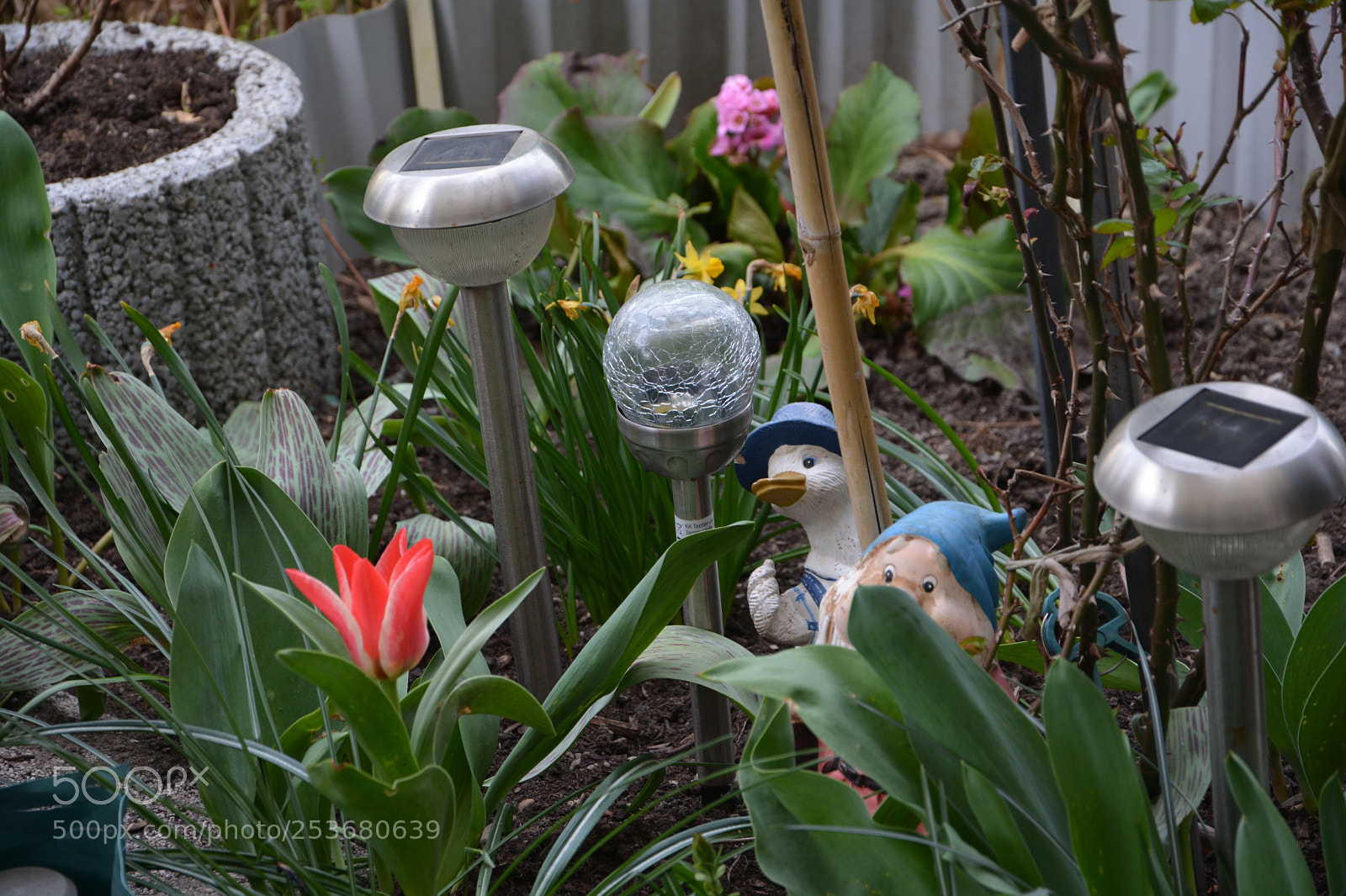 Nikon D7100 sample photo. Spring time... photography