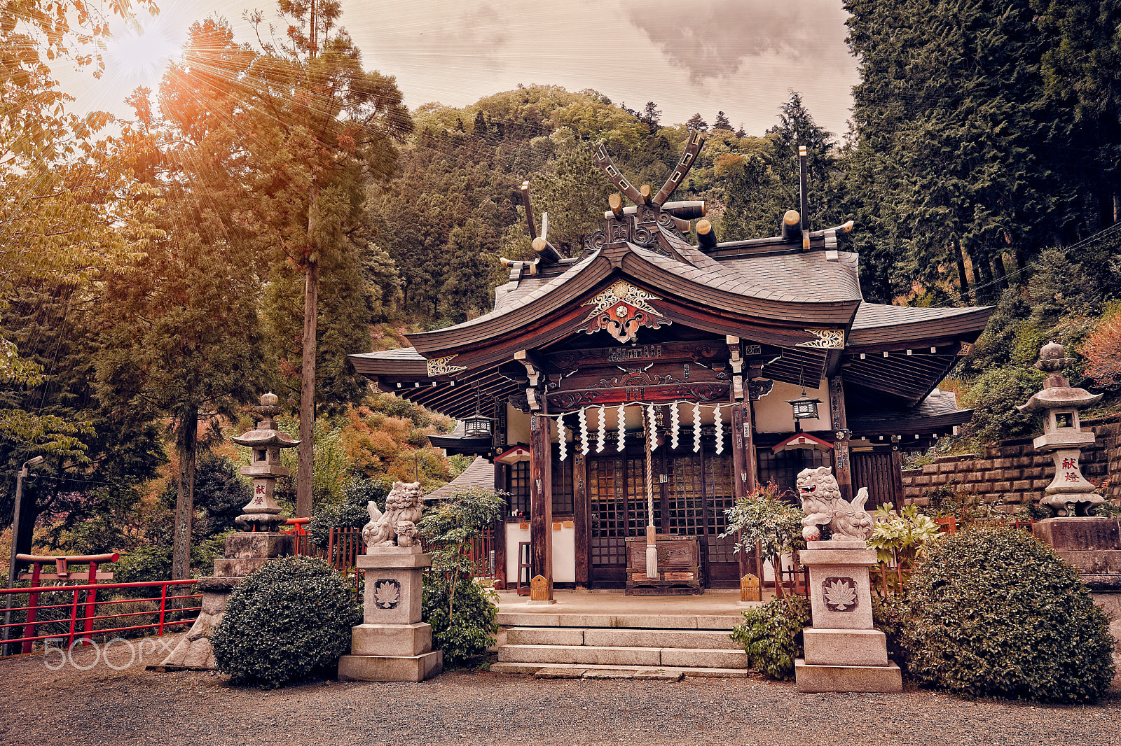 Fujifilm X-Pro2 + Fujifilm XF 10-24mm F4 R OIS sample photo. Temple in the woods photography