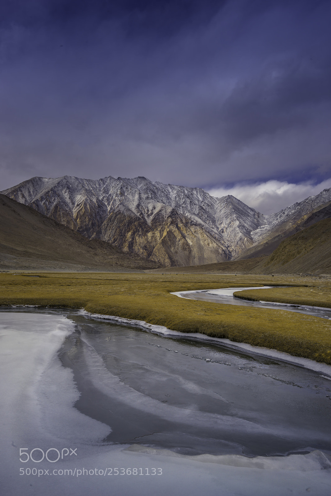 Sony a7 II sample photo. Winter gold_dsc01116.jpg photography