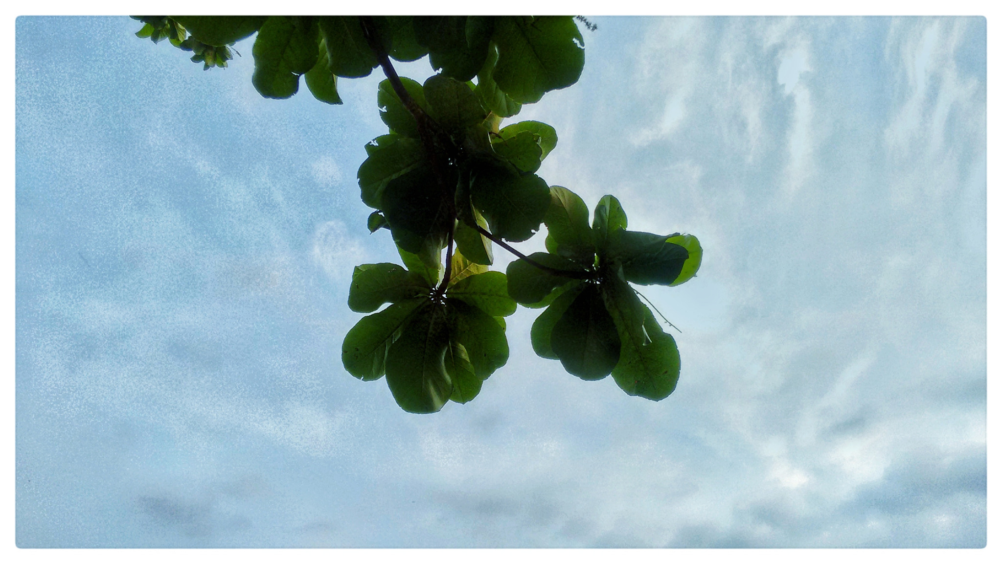 Motorola Moto G (2nd Gen) sample photo. Sky high photography