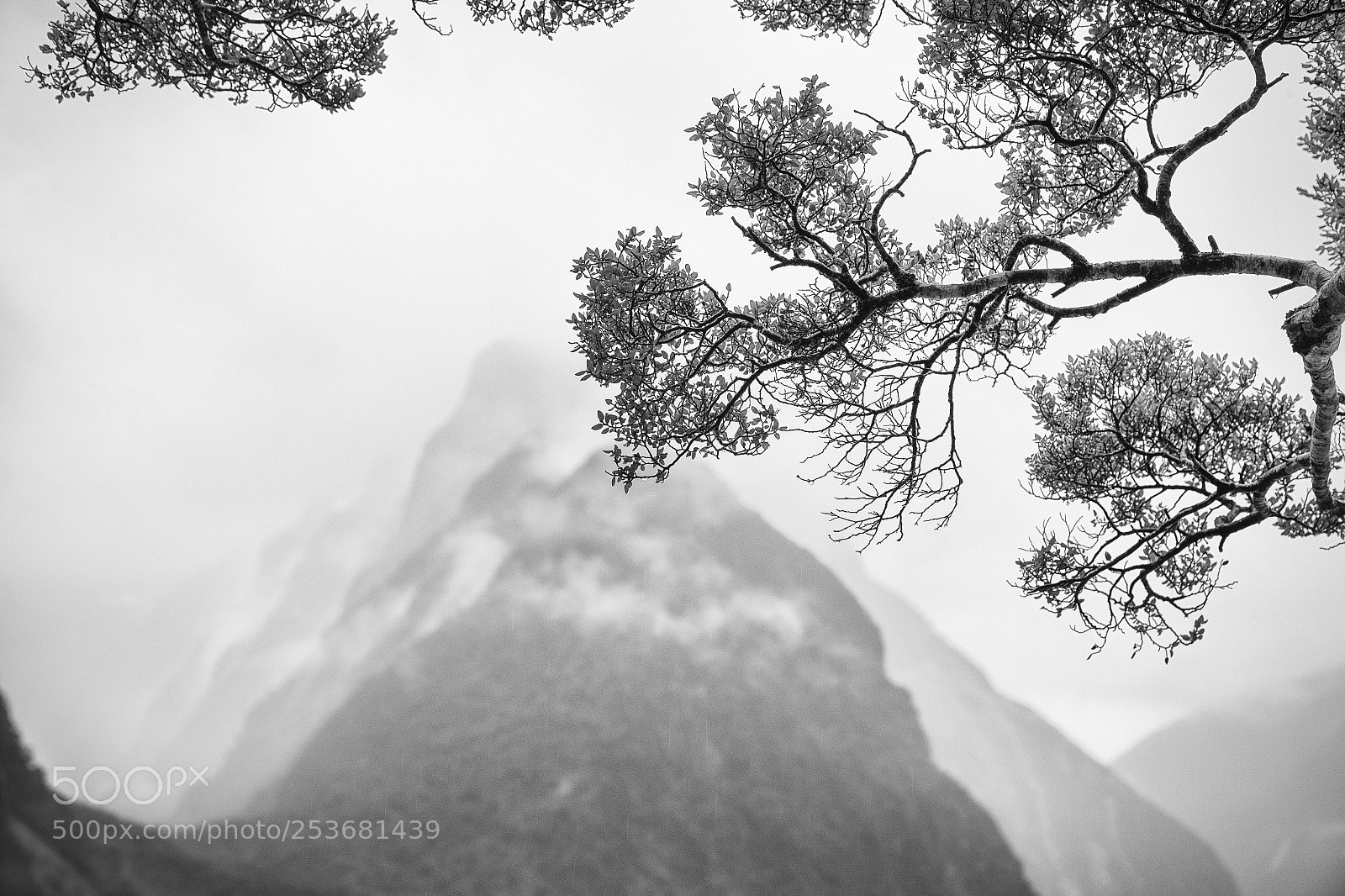 Canon EOS-1D X Mark II sample photo. The misty mountains photography