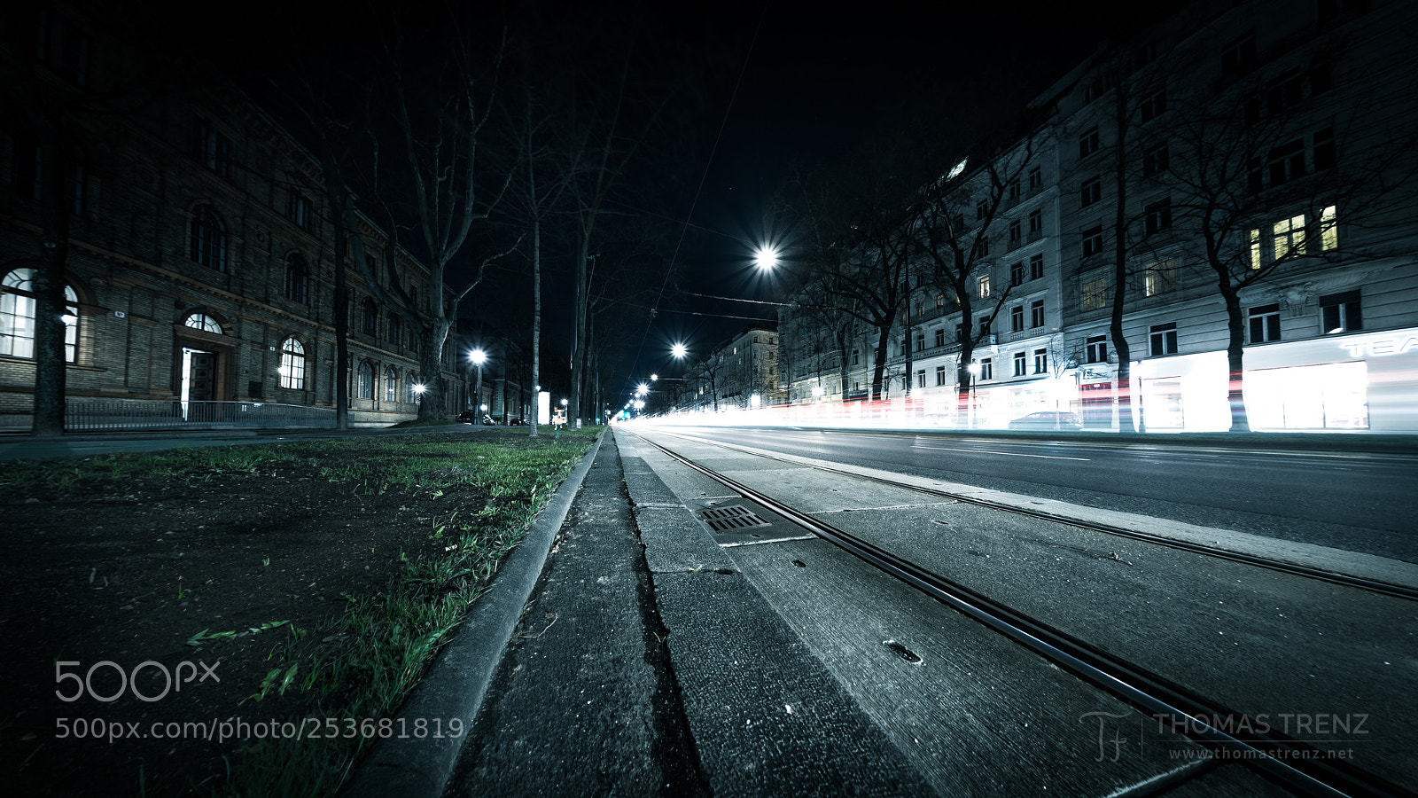 Nikon D600 sample photo. Ring lines photography