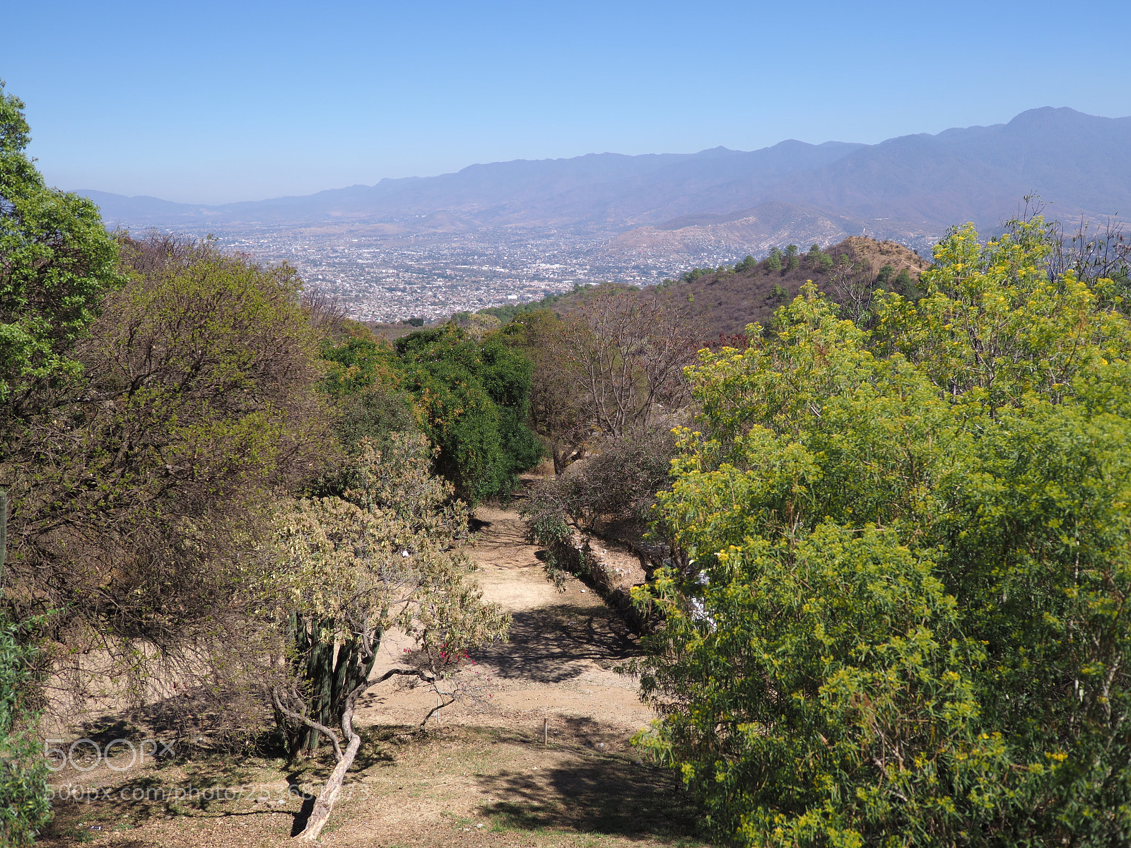 Olympus OM-D E-M1 Mark II sample photo. Beautiful mexican mountainside path photography