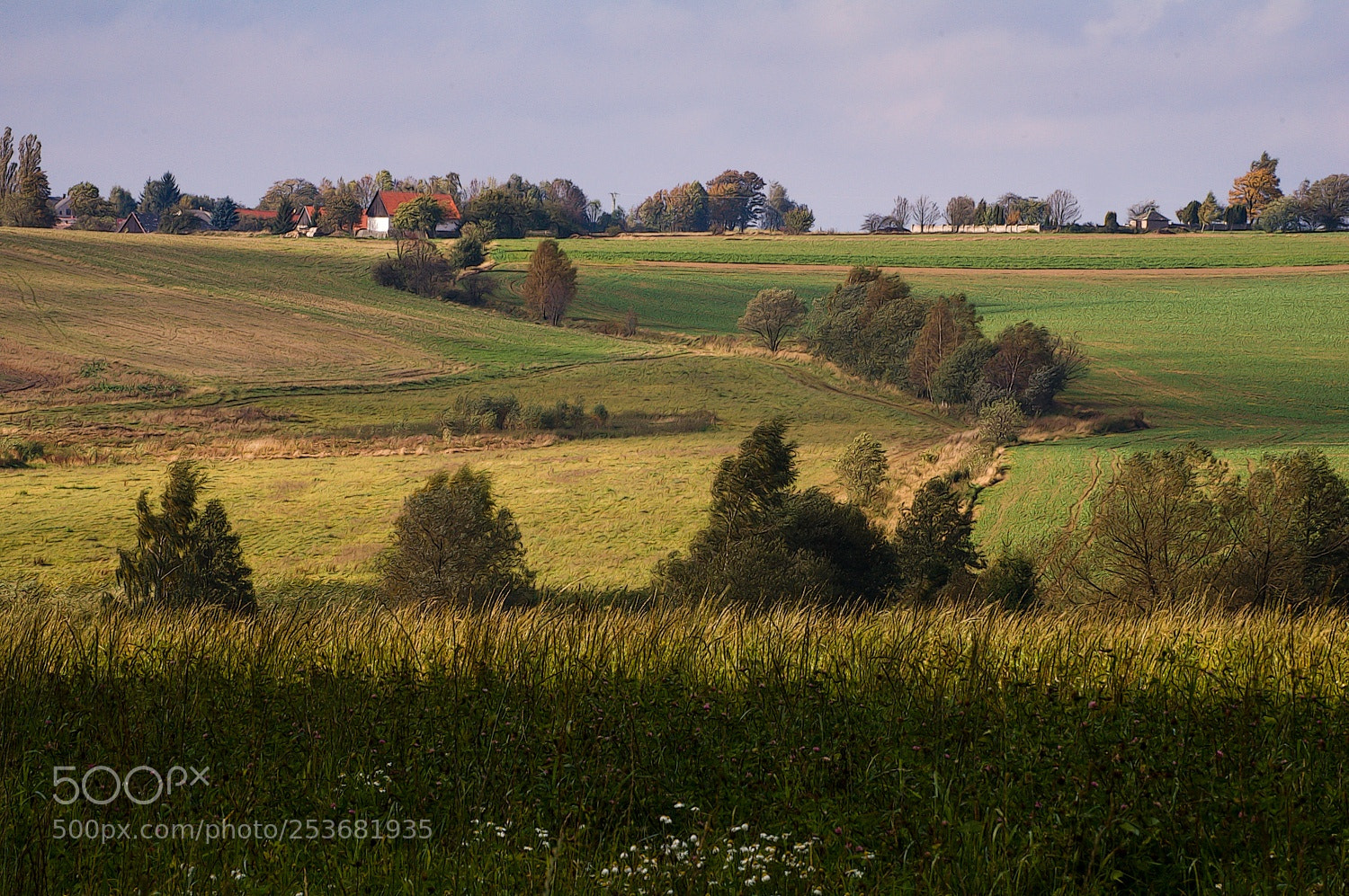 Nikon D40 sample photo. ... photography