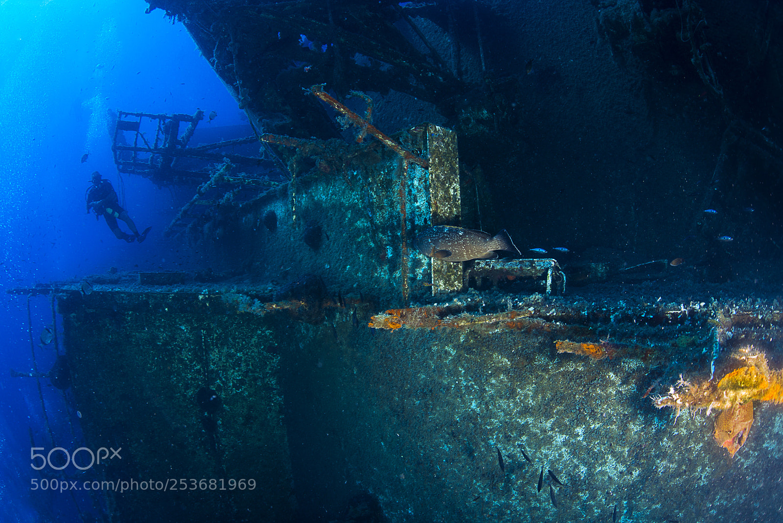Nikon D800E sample photo. The zenobia wreck photography
