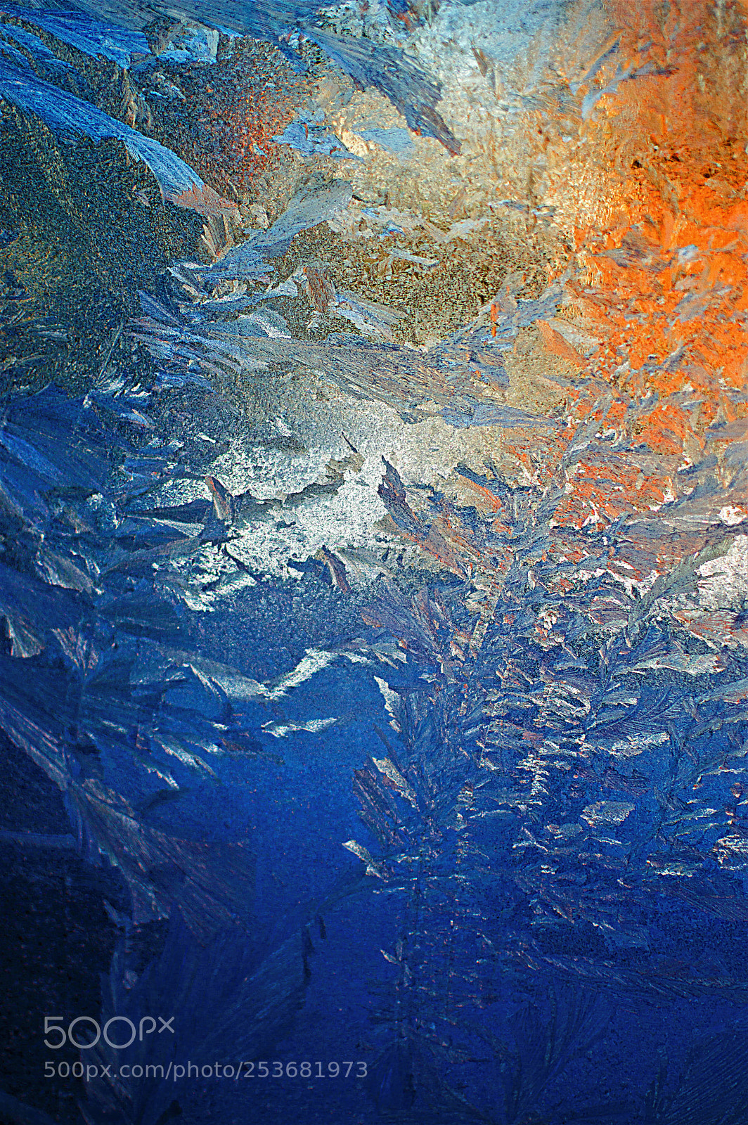 Nikon D3200 sample photo. Ice art photography
