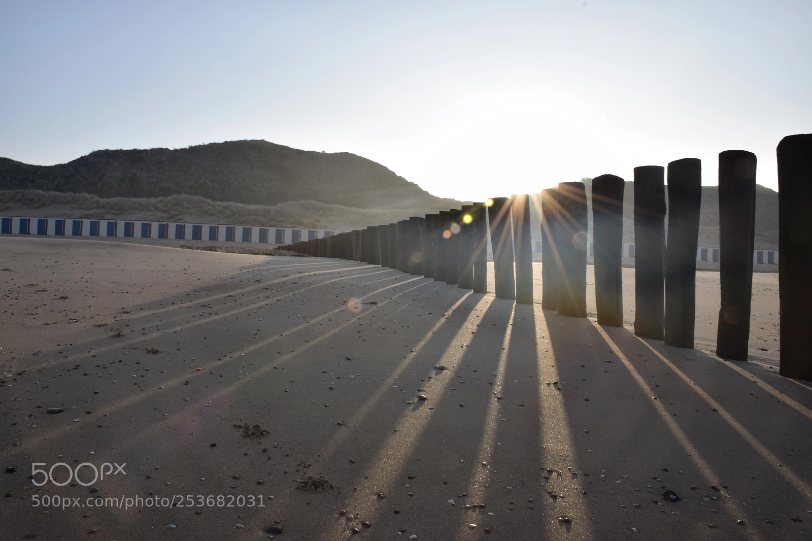 Nikon D5300 sample photo. Untitled photography