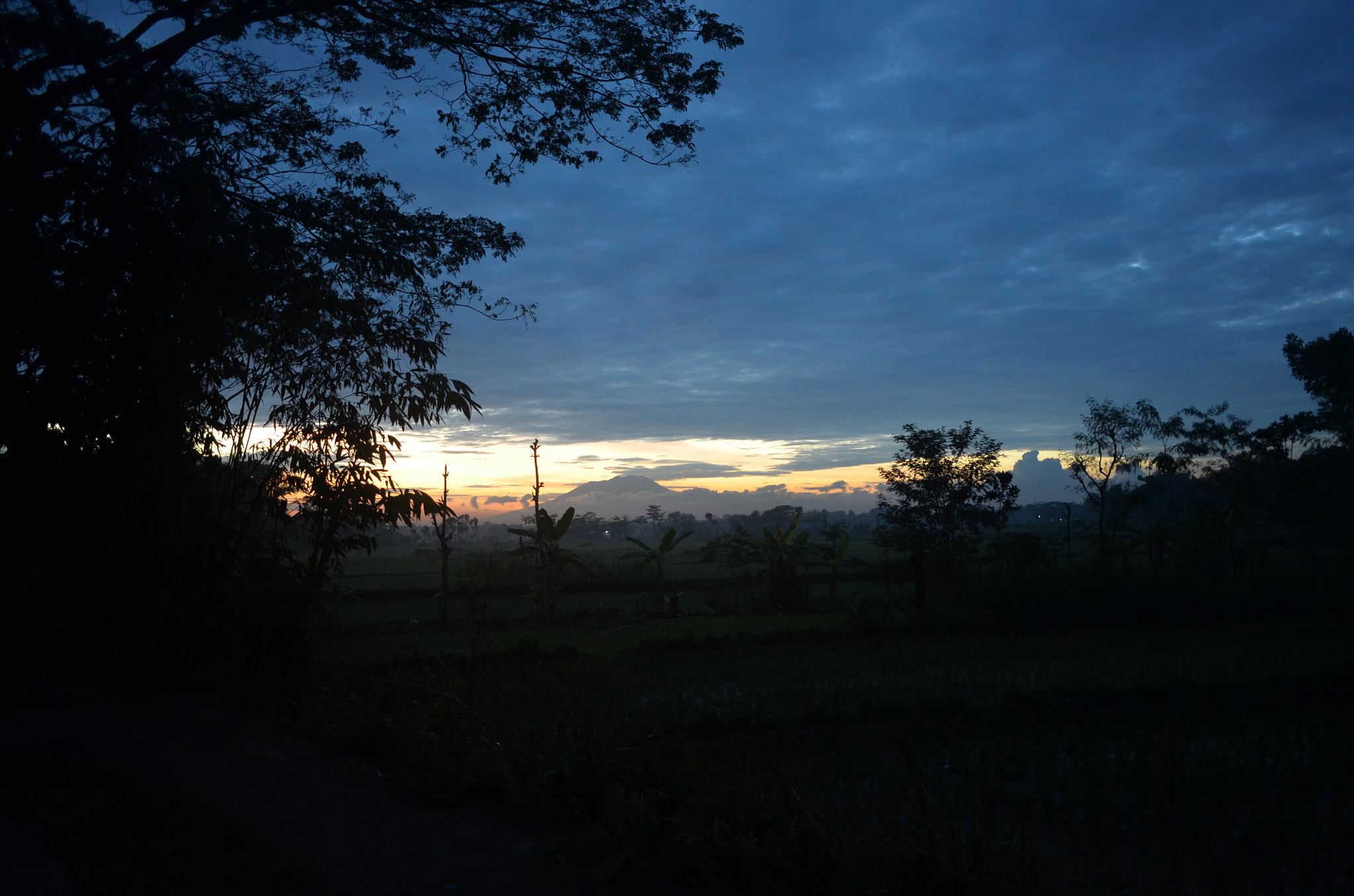 Nikon Coolpix A sample photo