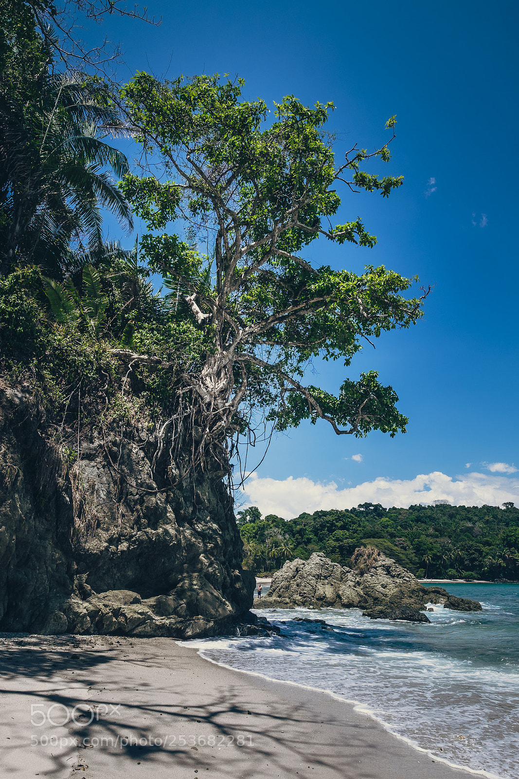 Fujifilm X-T10 sample photo. Costa rica park manuel photography