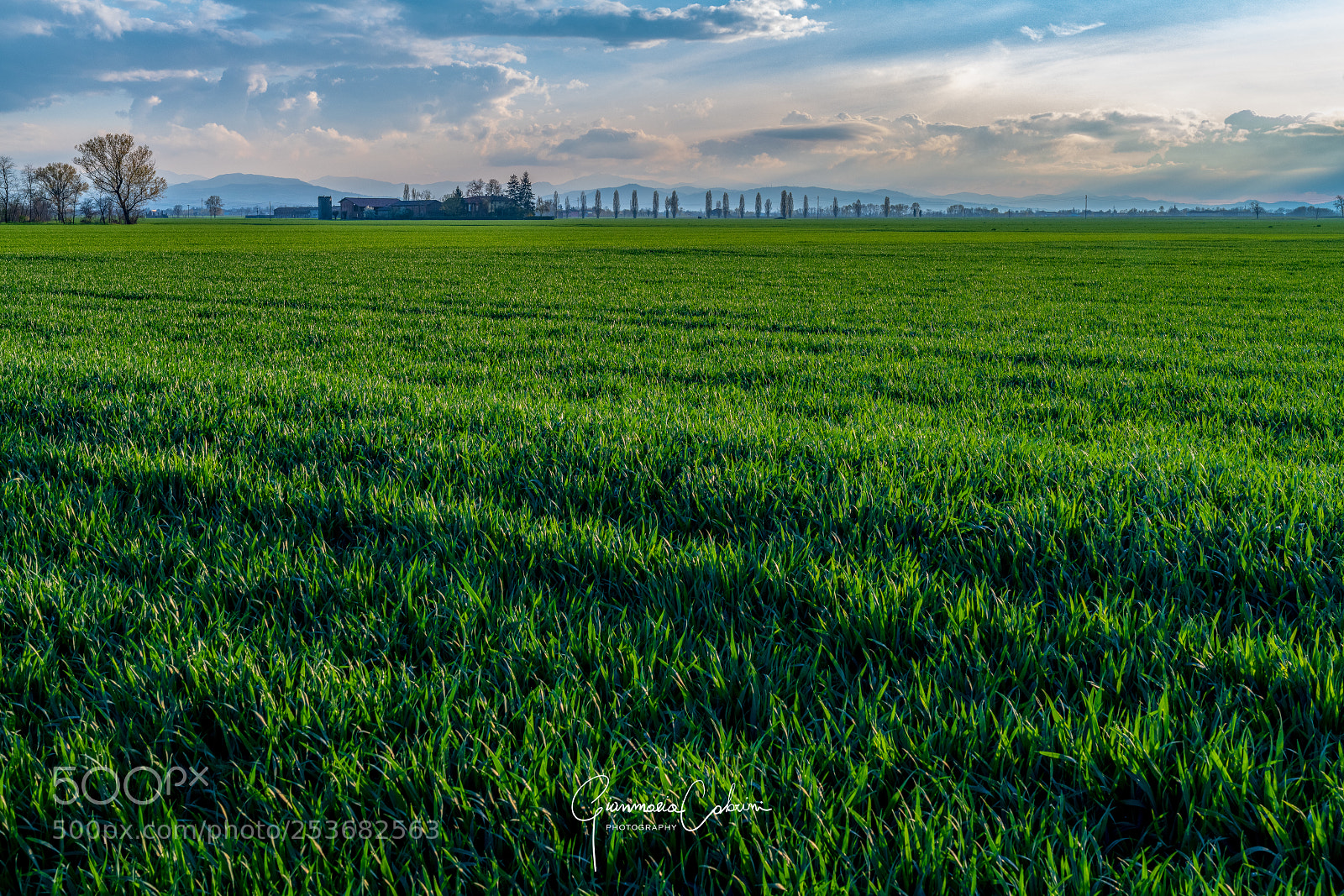 Nikon D850 sample photo. Green sea - mare photography