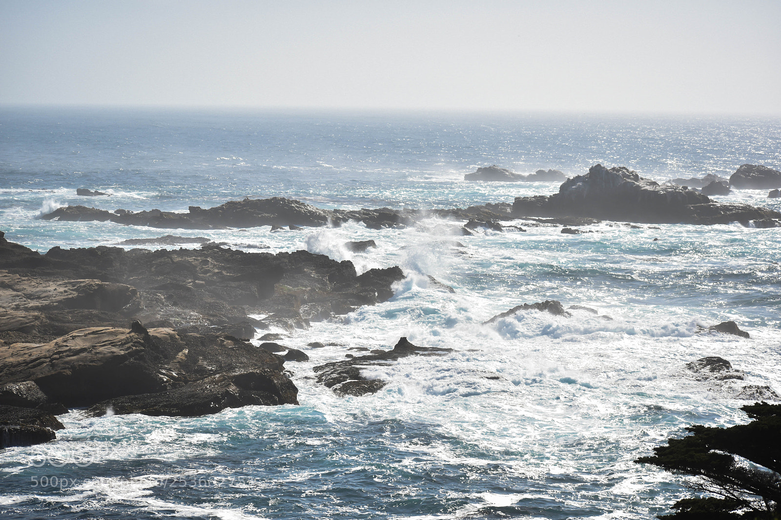 Nikon D5600 sample photo. Crashing photography