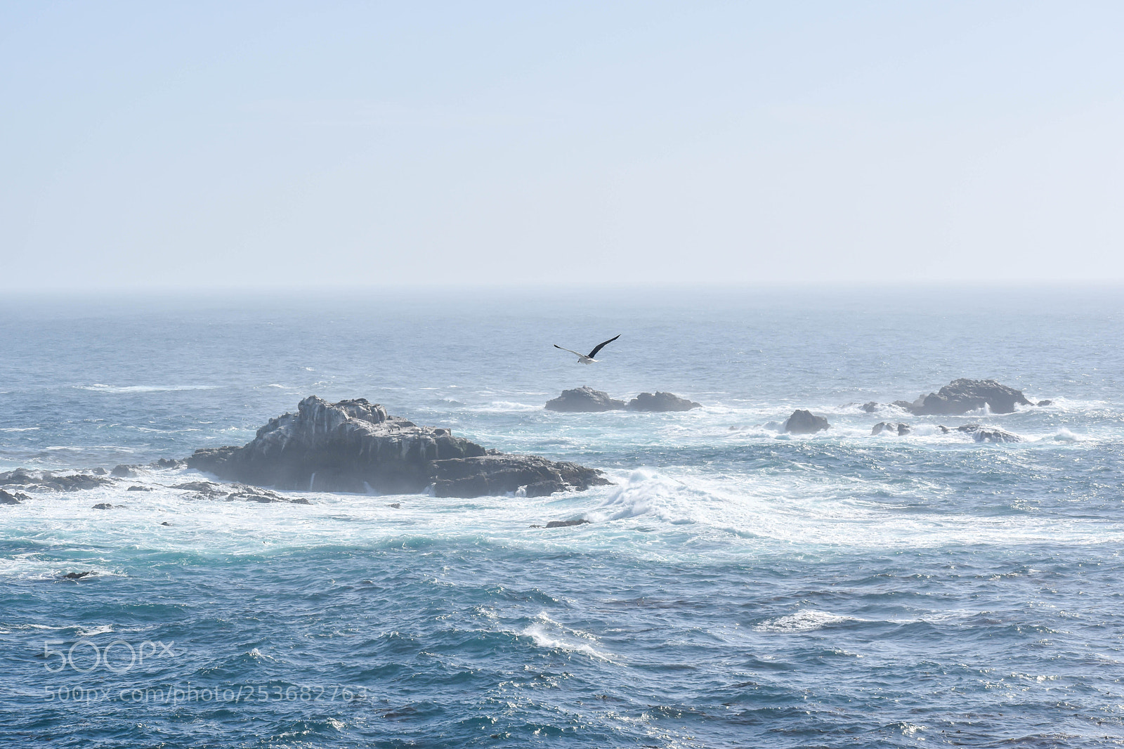 Nikon D5600 sample photo. Pacific photography