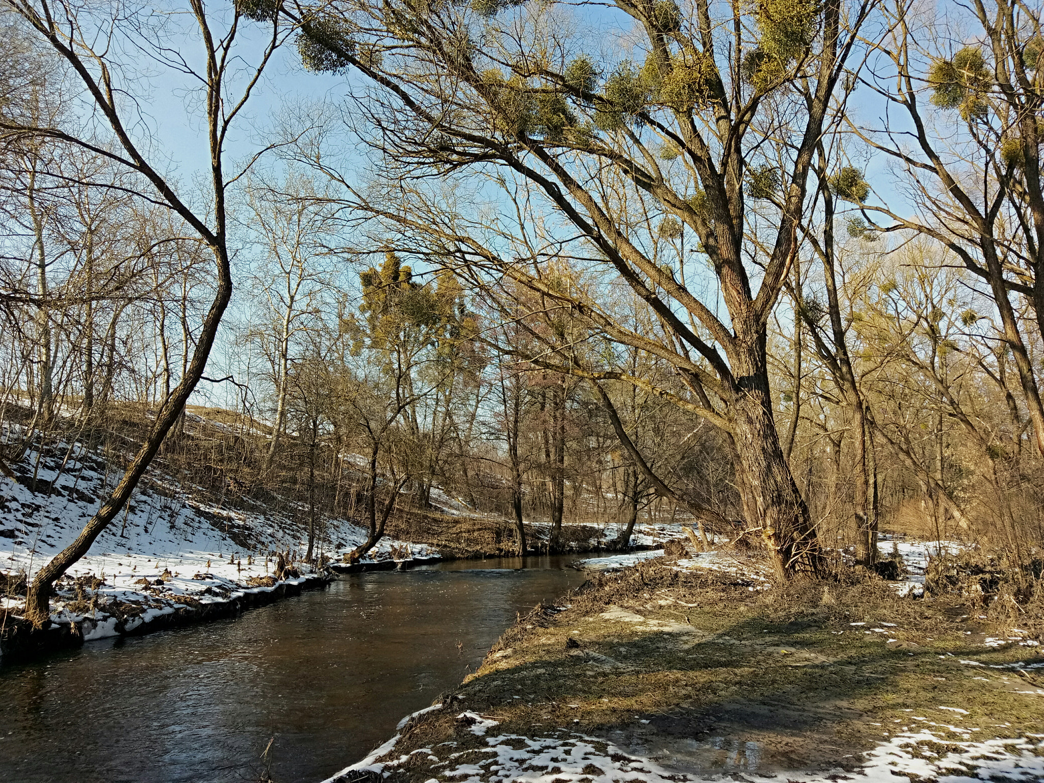 Meizu U20 sample photo