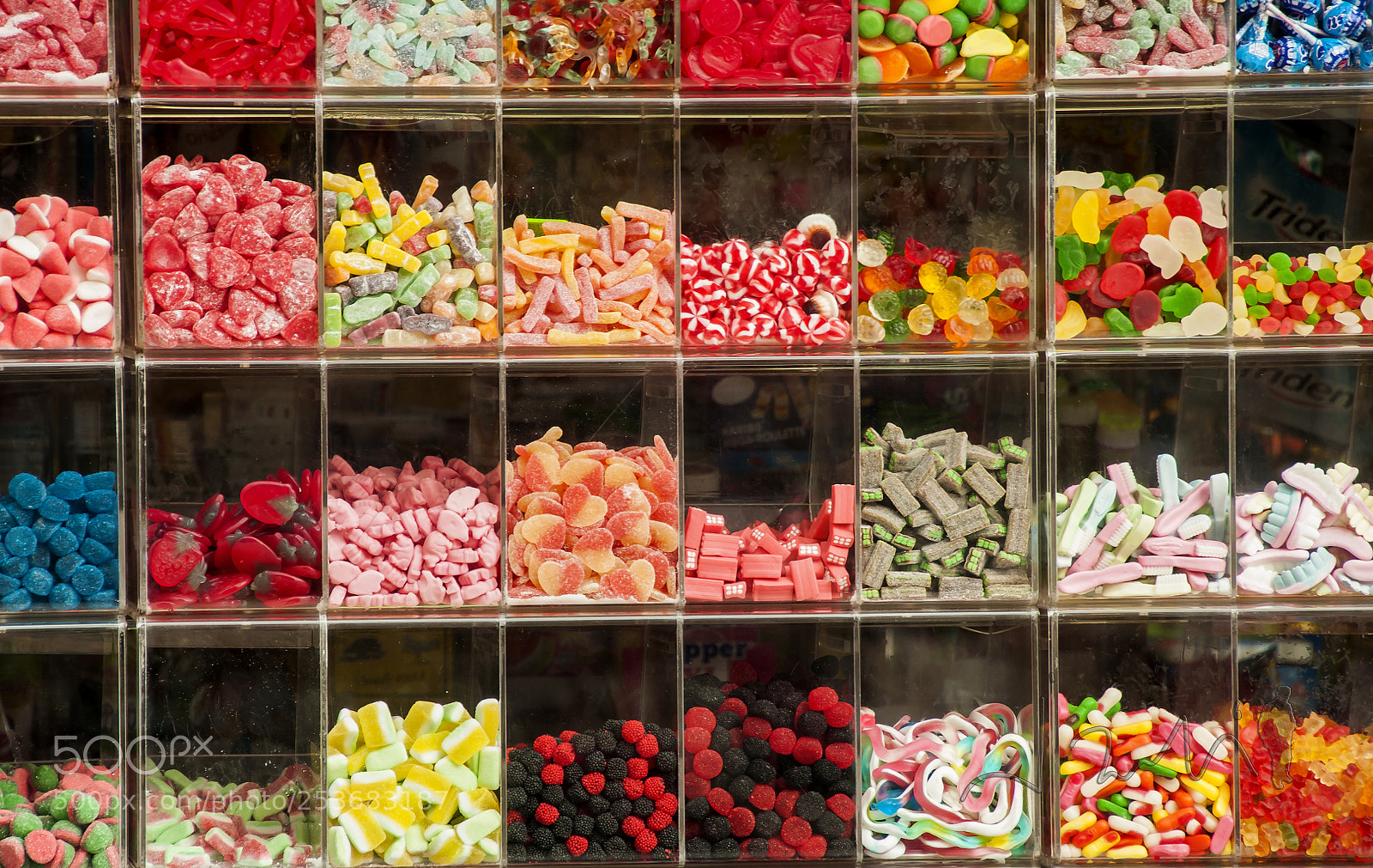 Nikon D90 sample photo. Chuches photography