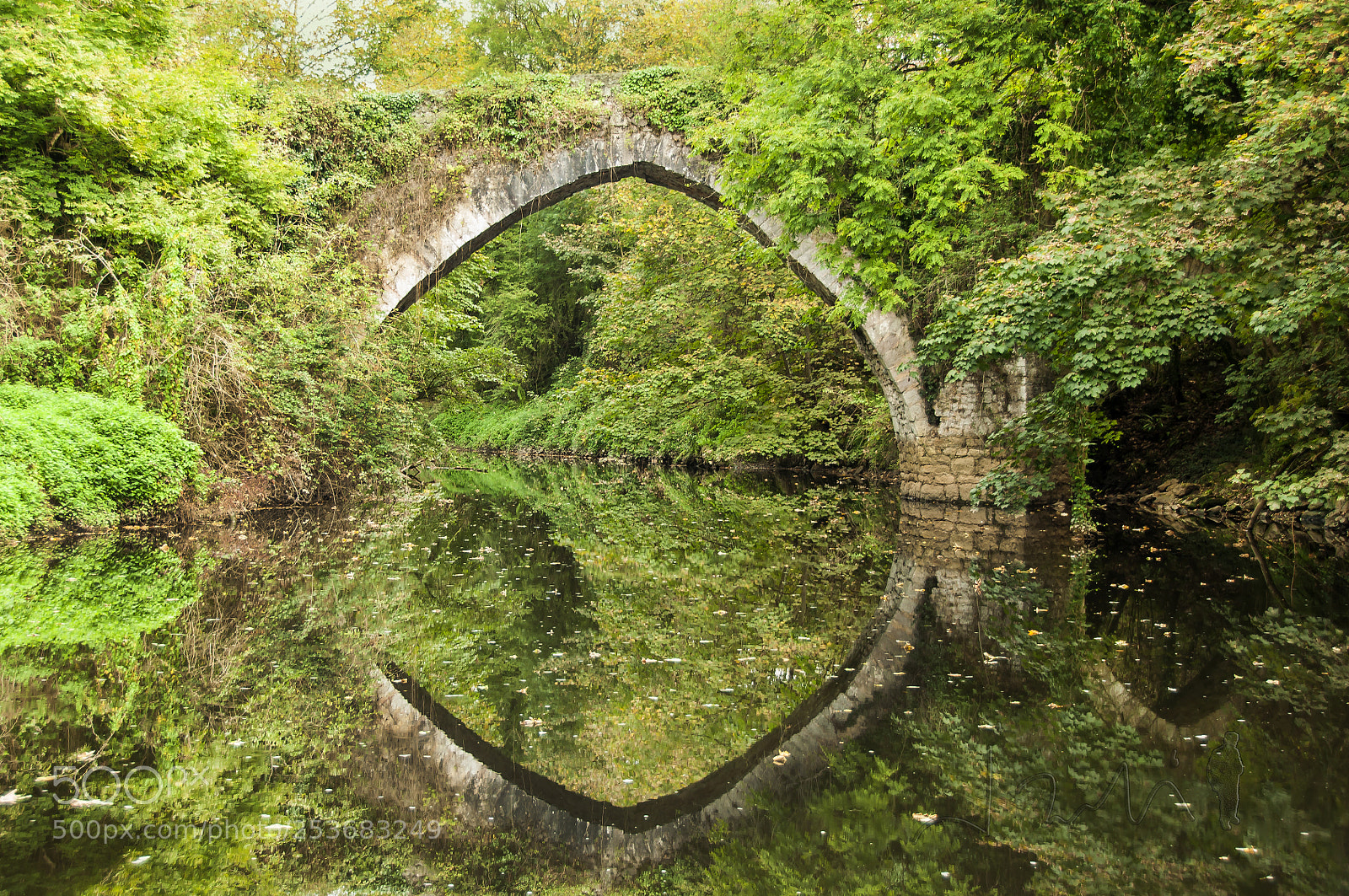 Nikon D90 sample photo. Puente medieval de bra photography
