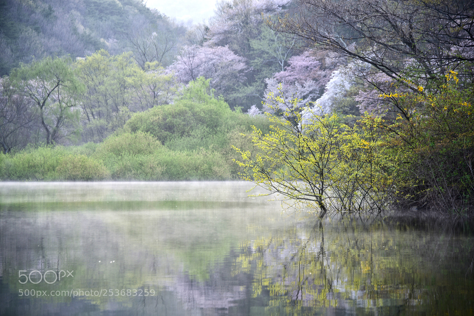 Nikon D810 sample photo. Untitled photography