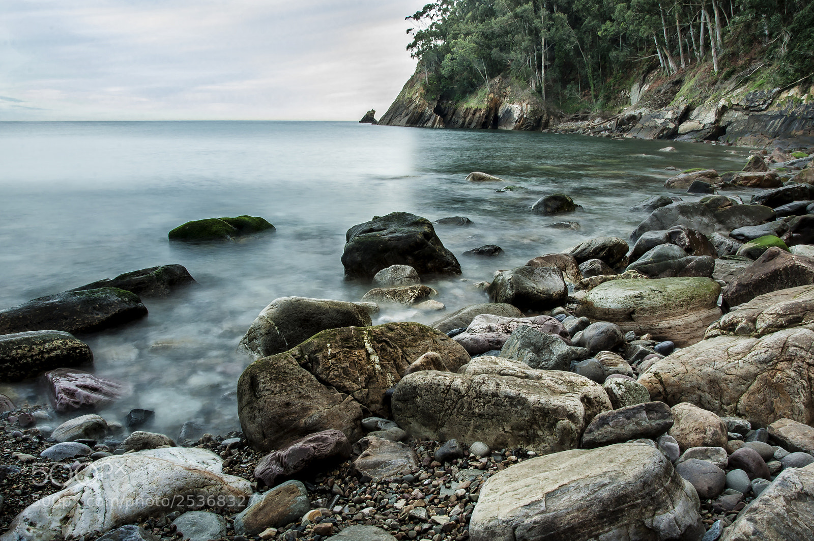 Nikon D90 sample photo. Calma photography